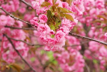 湖州吴兴区线下个人借款平台一站式服务，轻松解决资金难题