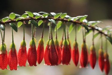 湖州吴兴区零用贷短借：轻松解决临时资金需求