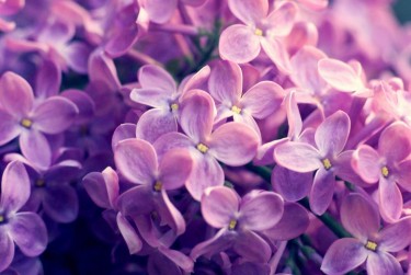 湖州吴兴区企业急用钱贷款攻略：快速融资解燃眉之急